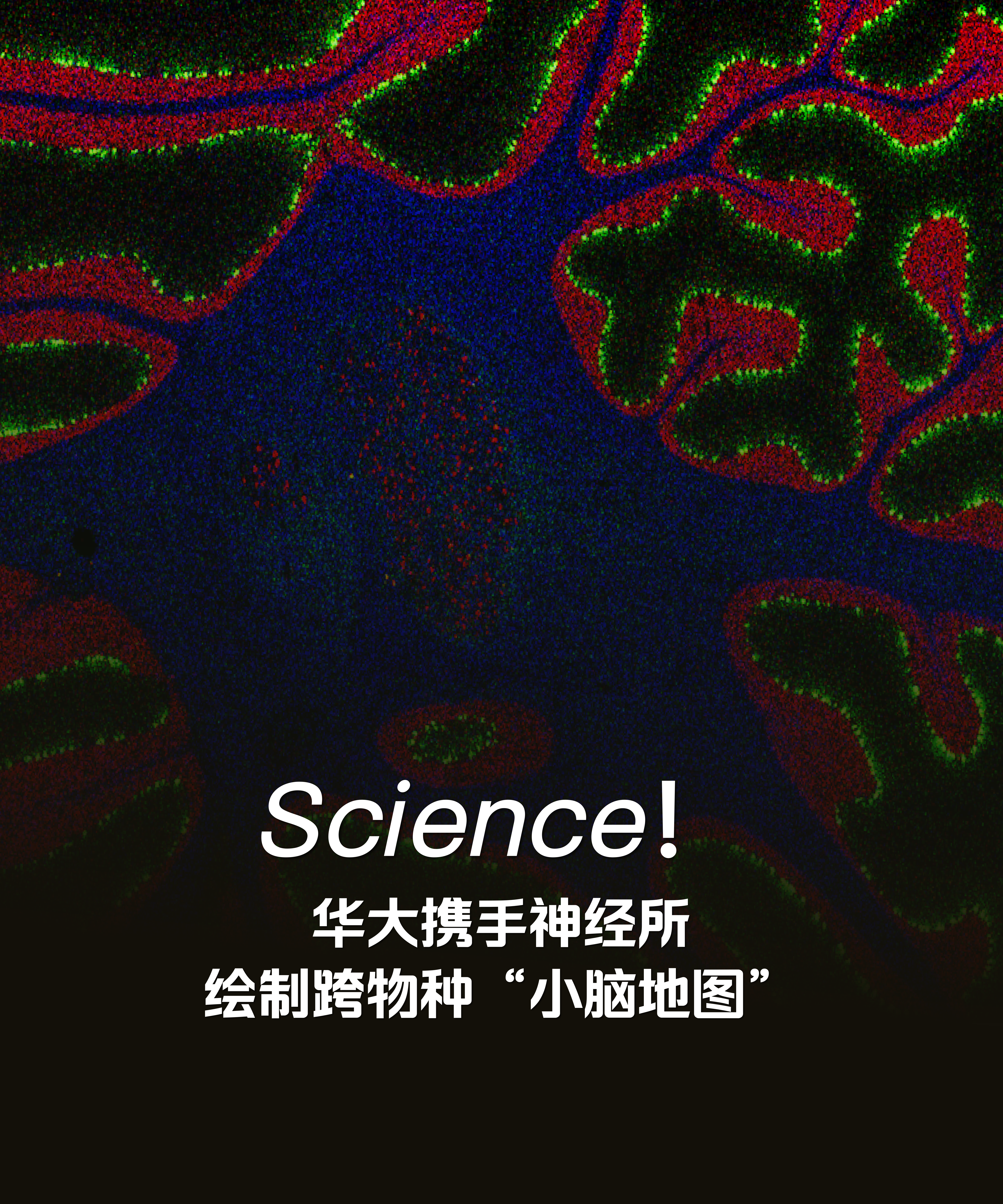 官網(wǎng)Banner720x900_04.png