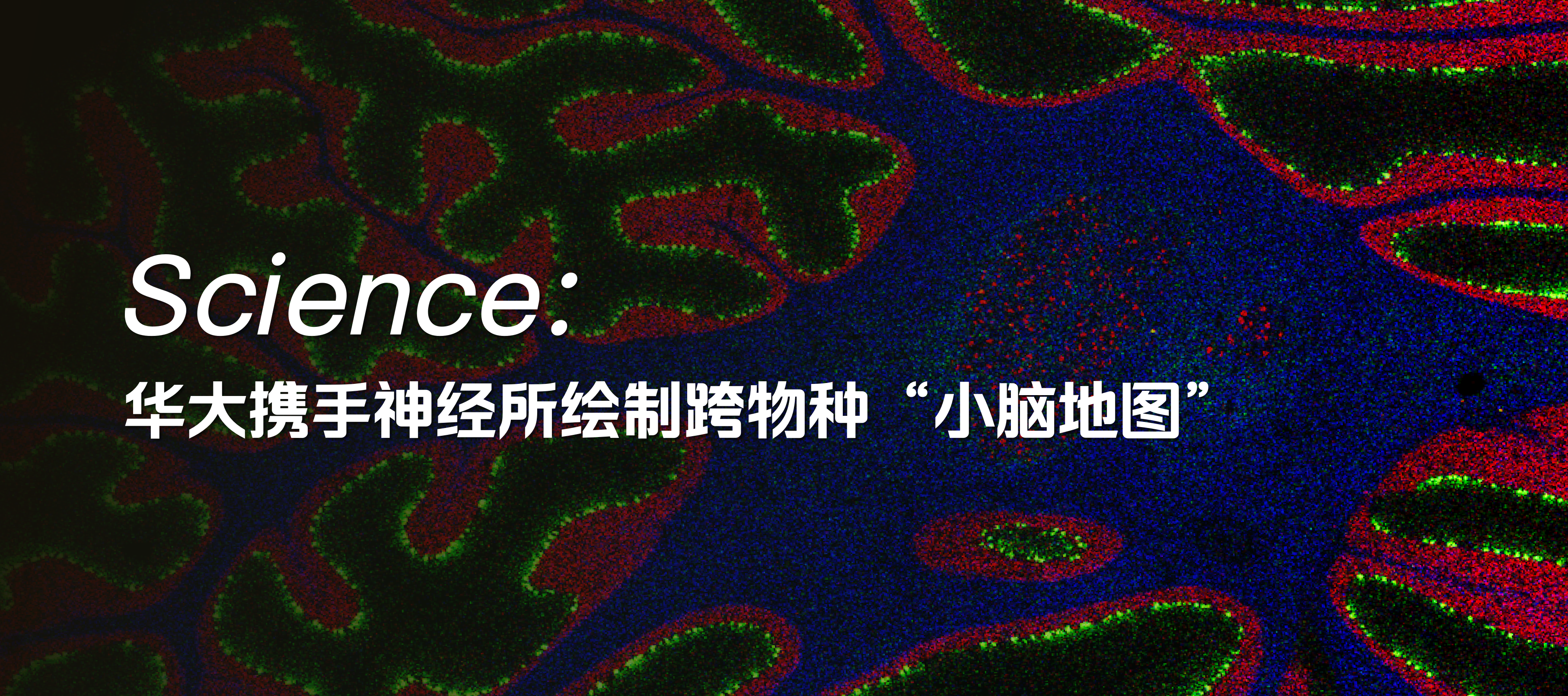 官網(wǎng)banner1920x852_03.png