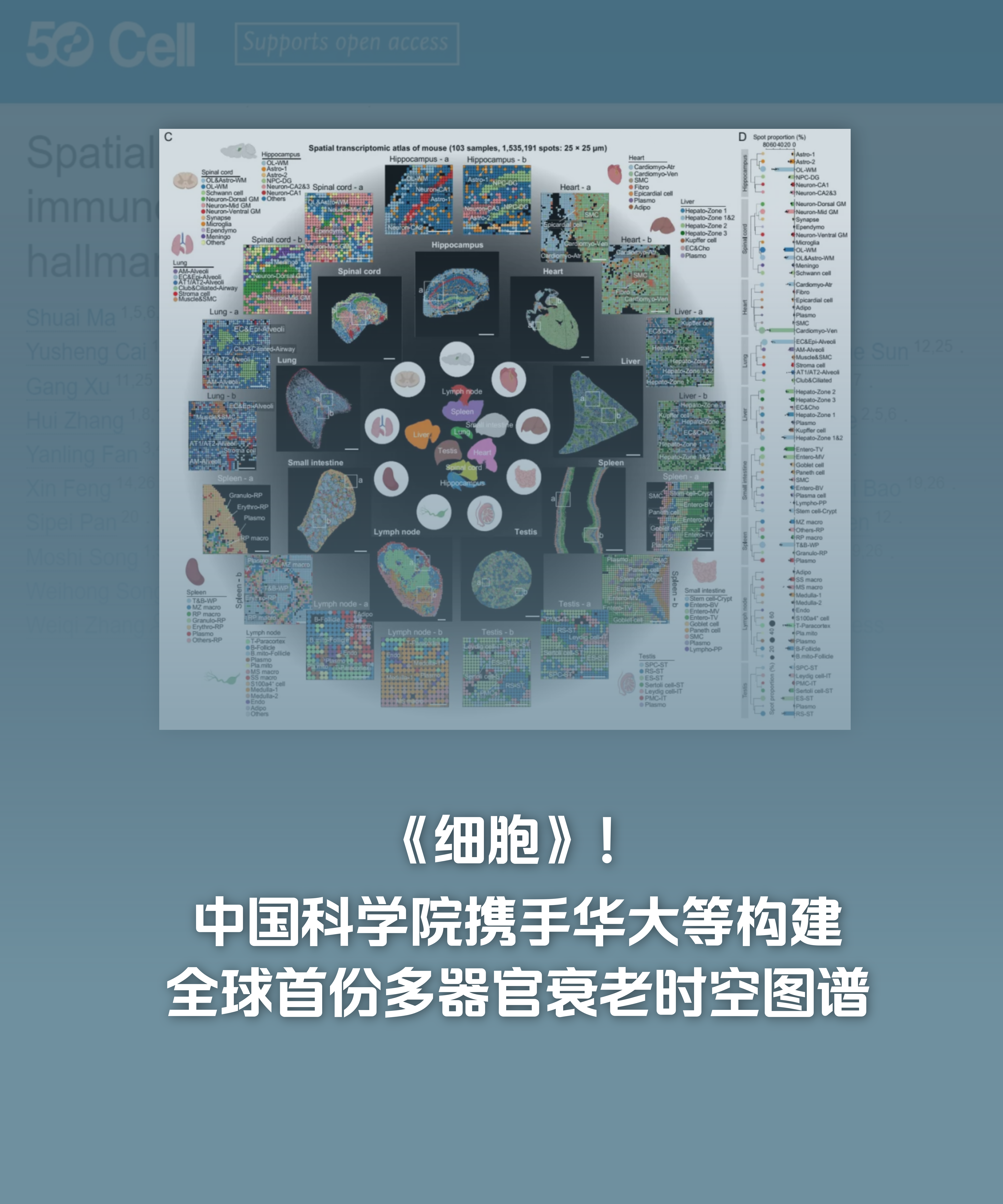 官網(wǎng)Banner720x900_07.png